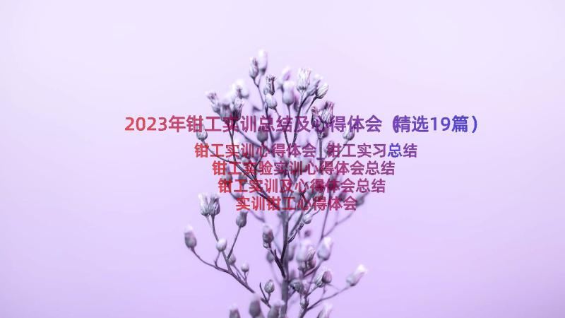 2023年钳工实训总结及心得体会（精选19篇）