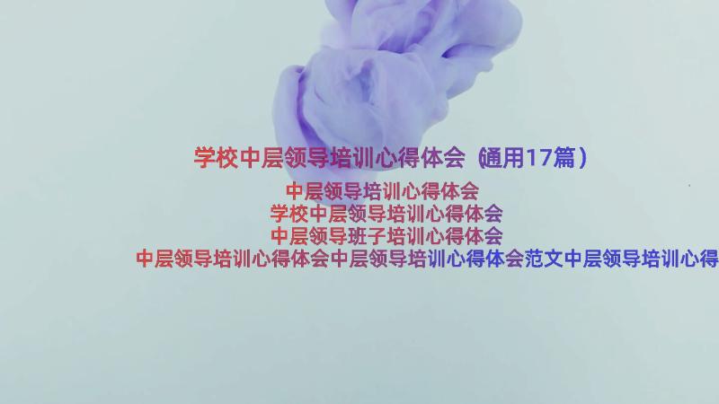 学校中层领导培训心得体会（通用17篇）