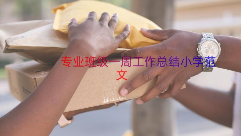 专业班级一周工作总结小学范文（20篇）