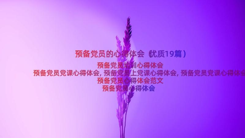 预备党员的心得体会（优质19篇）