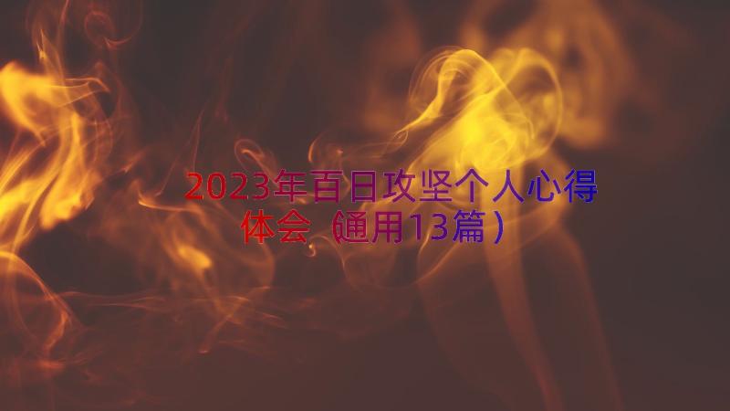 2023年百日攻坚个人心得体会（通用13篇）