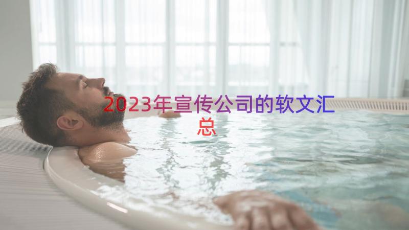 2023年宣传公司的软文（汇总18篇）