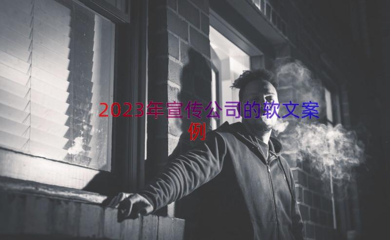 2023年宣传公司的软文（案例16篇）