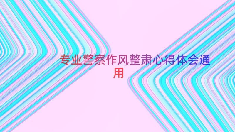 专业警察作风整肃心得体会通用