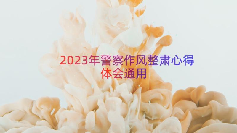 2023年警察作风整肃心得体会（通用13篇）