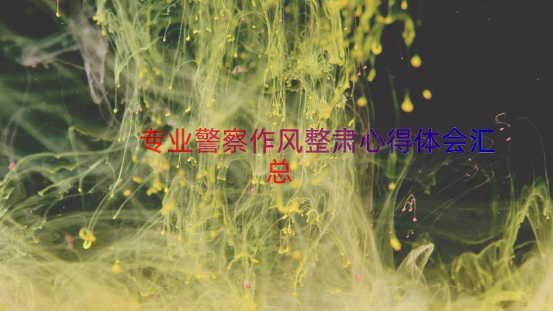 专业警察作风整肃心得体会（汇总16篇）