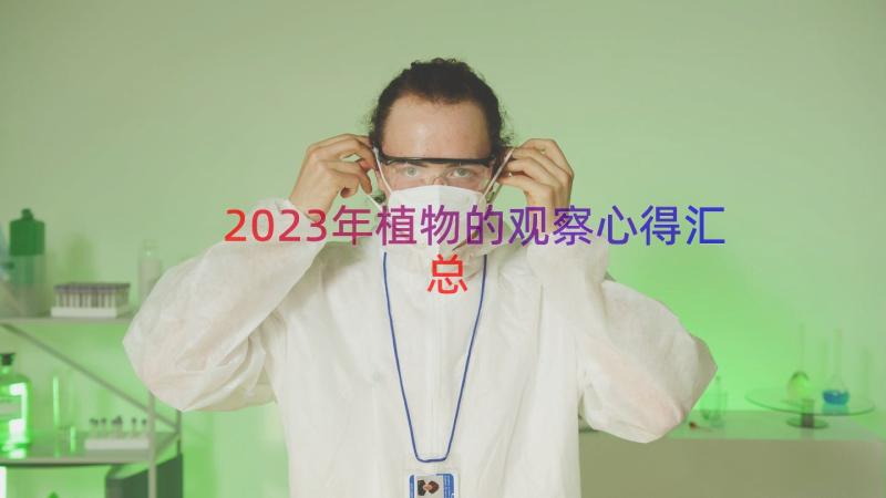 2023年植物的观察心得（汇总17篇）