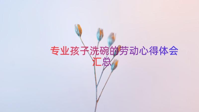 专业孩子洗碗的劳动心得体会（汇总15篇）