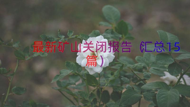 最新矿山关闭报告（汇总15篇）