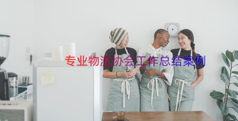 专业物流协会工作总结（案例13篇）