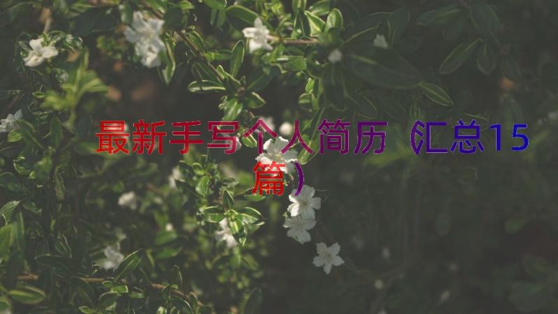 最新手写个人简历（汇总15篇）