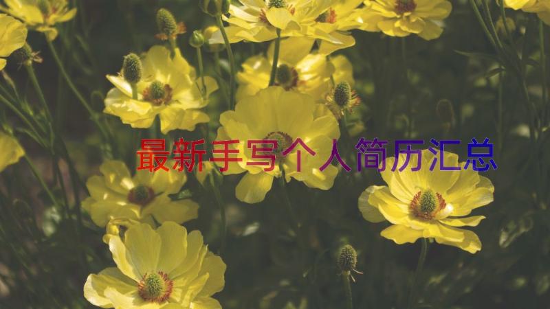 最新手写个人简历（汇总18篇）