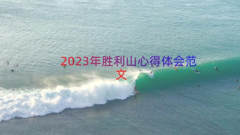 2023年胜利山心得体会范文（20篇）