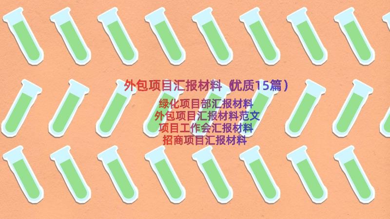 外包项目汇报材料（优质15篇）