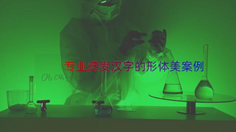 专业感受汉字的形体美案例