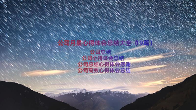 公司月星心得体会总结大全（19篇）