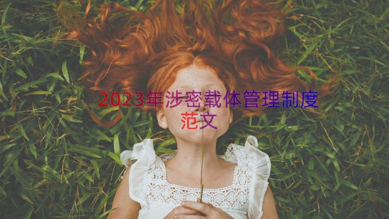 2023年涉密载体管理制度范文（15篇）