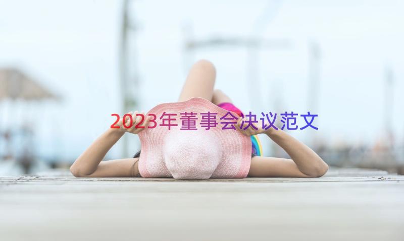 2023年董事会决议范文（19篇）