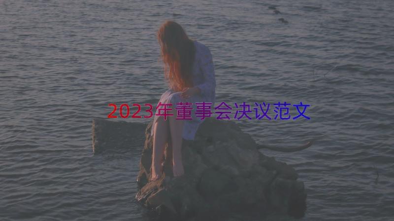 2023年董事会决议范文（17篇）