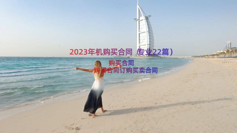 2023年机购买合同（专业22篇）