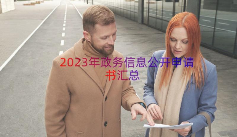 2023年政务信息公开申请书（汇总16篇）