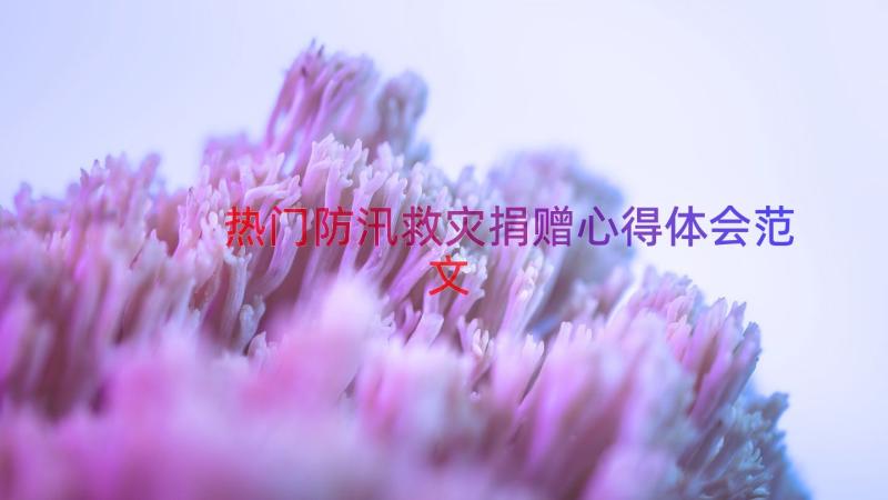 热门防汛救灾捐赠心得体会范文（20篇）