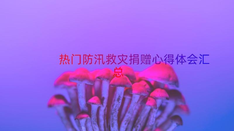 热门防汛救灾捐赠心得体会（汇总15篇）