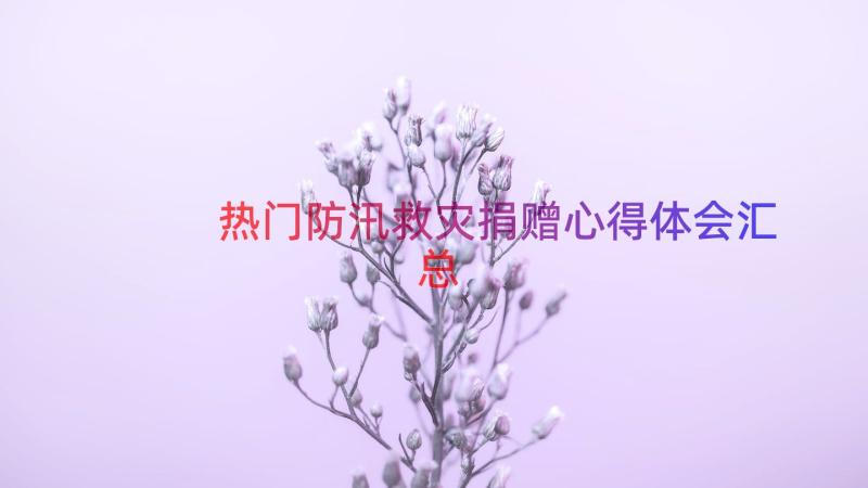 热门防汛救灾捐赠心得体会（汇总16篇）