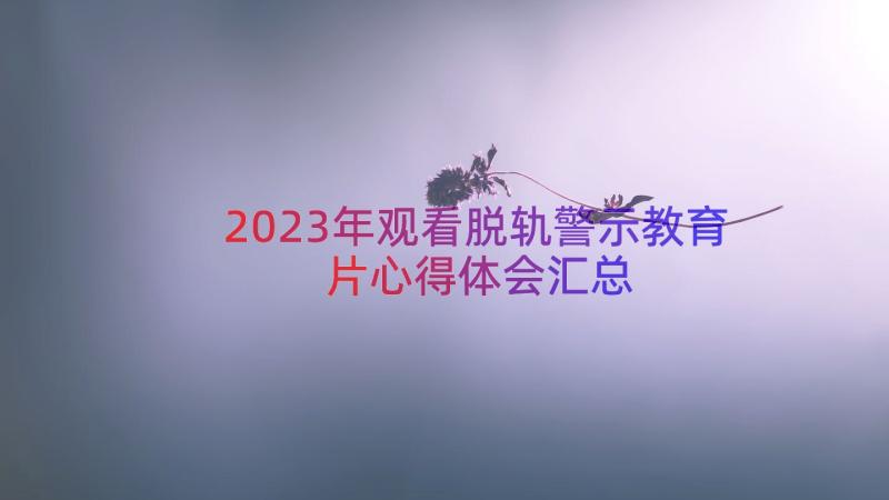 2023年观看脱轨警示教育片心得体会汇总