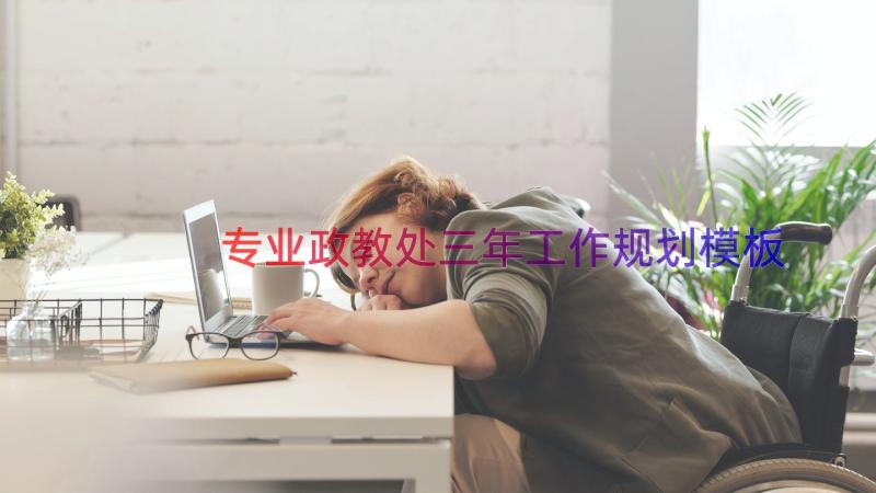 专业政教处三年工作规划（模板17篇）