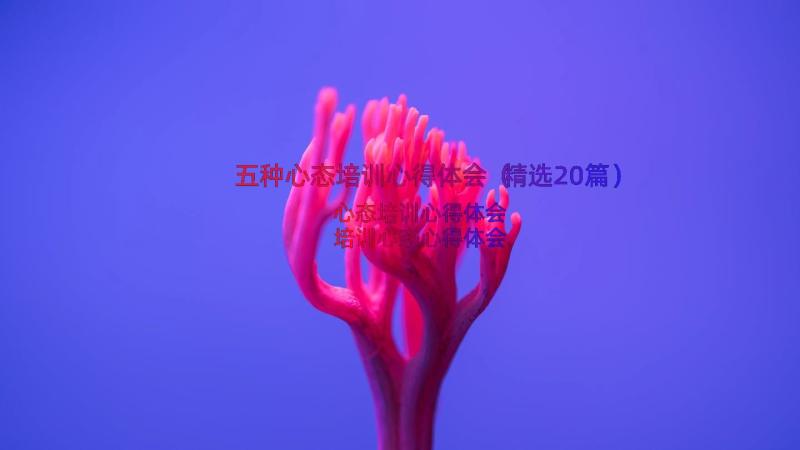 五种心态培训心得体会（精选20篇）