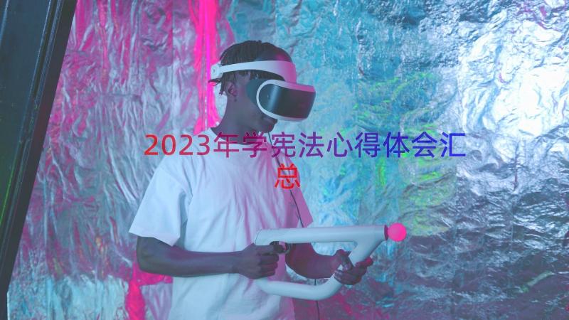 2023年学宪法心得体会（汇总20篇）