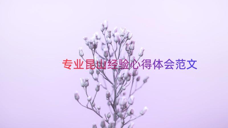 专业昆山经验心得体会范文（14篇）