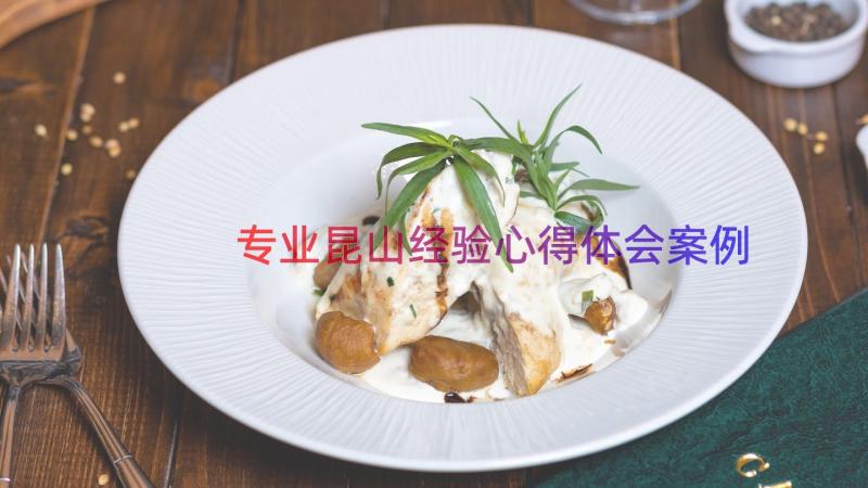 专业昆山经验心得体会（案例14篇）