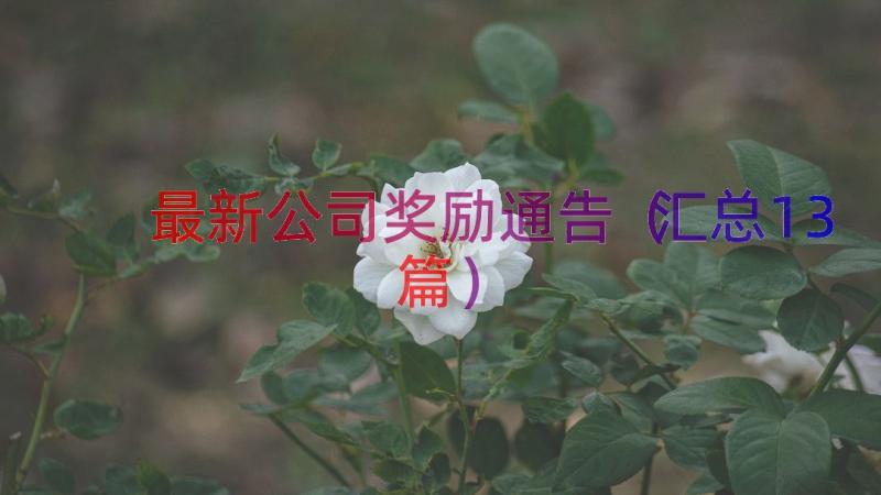 最新公司奖励通告（汇总13篇）