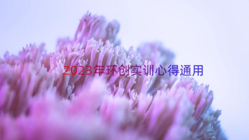 2023年环创实训心得（通用13篇）