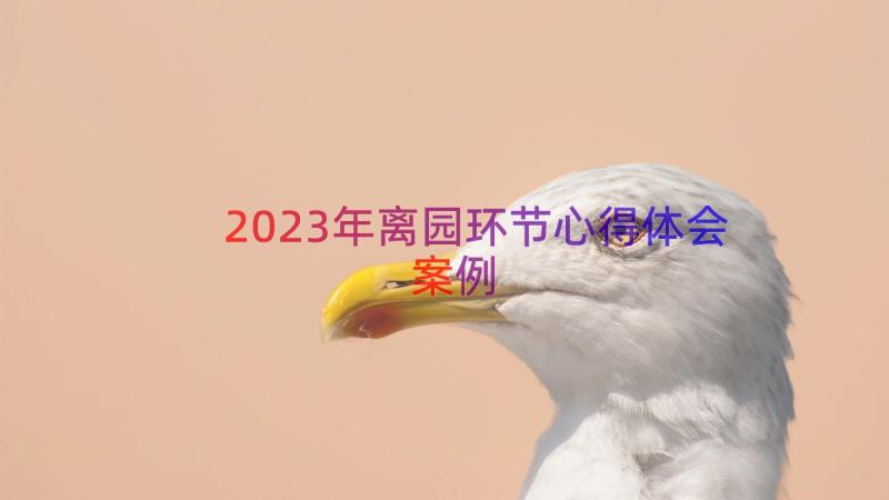 2023年离园环节心得体会（案例18篇）