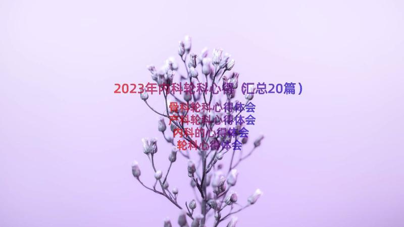 2023年内科轮科心得（汇总20篇）