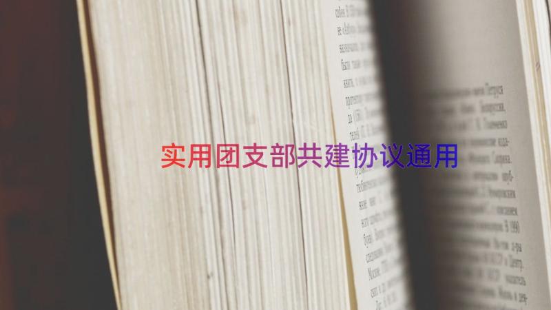 实用团支部共建协议（通用15篇）