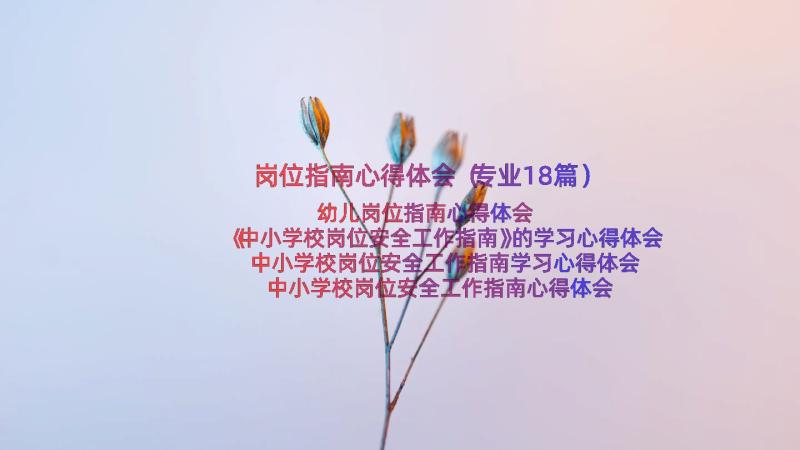 岗位指南心得体会（专业18篇）