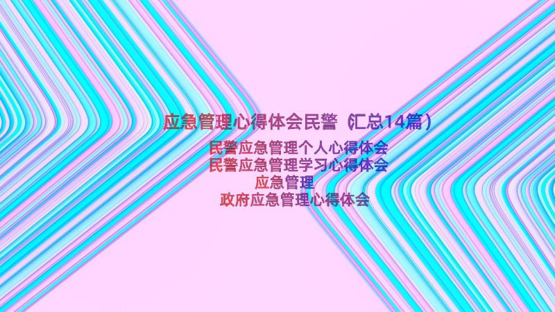 应急管理心得体会民警（汇总14篇）