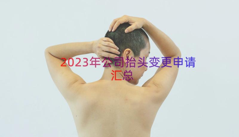 2023年公司抬头变更申请（汇总12篇）