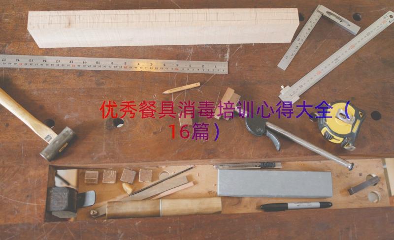 优秀餐具消毒培训心得大全（16篇）