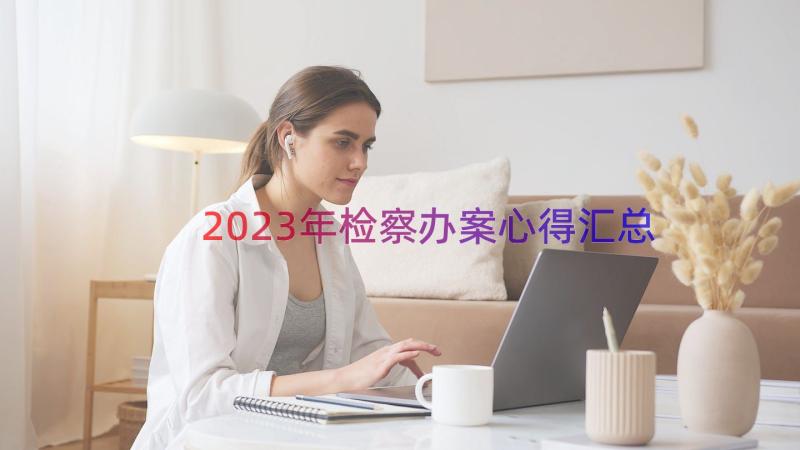 2023年检察办案心得（汇总17篇）