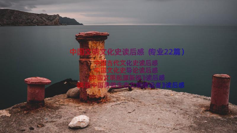中国文明文化史读后感（专业22篇）