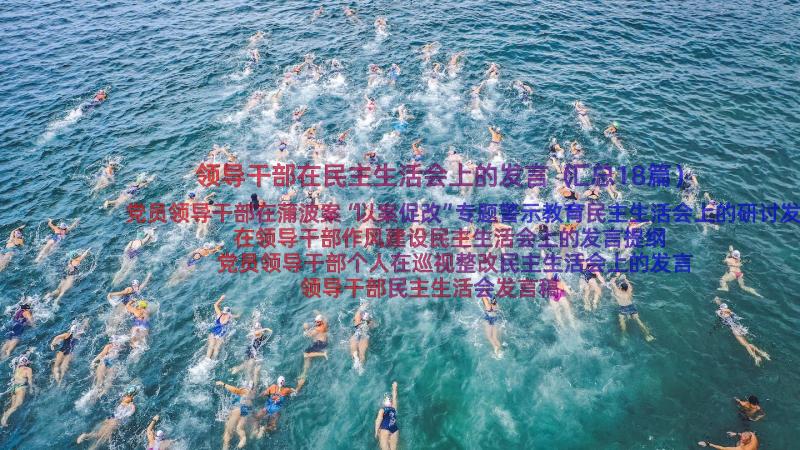 领导干部在民主生活会上的发言（汇总18篇）