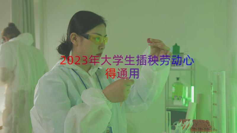 2023年大学生插秧劳动心得（通用14篇）