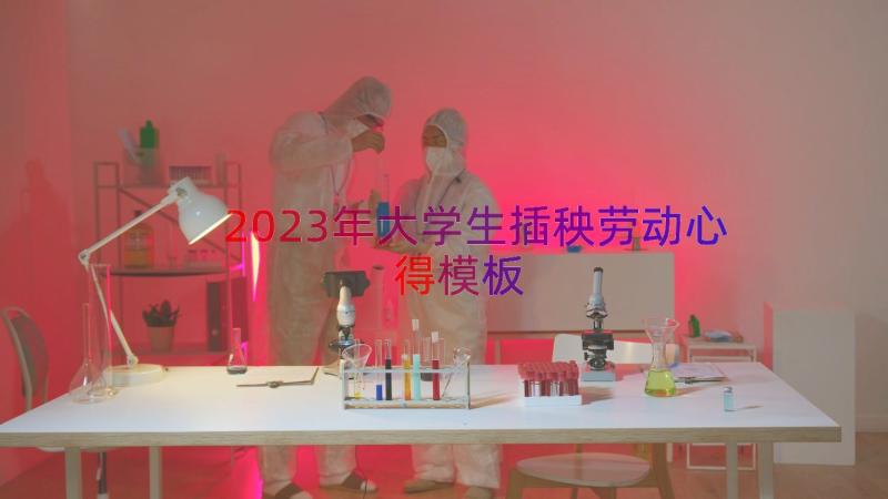 2023年大学生插秧劳动心得（模板17篇）