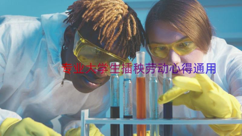 专业大学生插秧劳动心得（通用15篇）