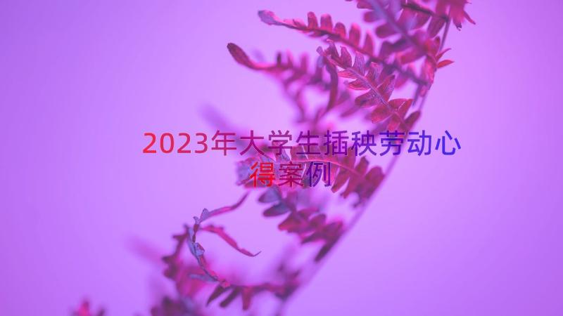 2023年大学生插秧劳动心得（案例13篇）